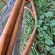 Bamboo bed