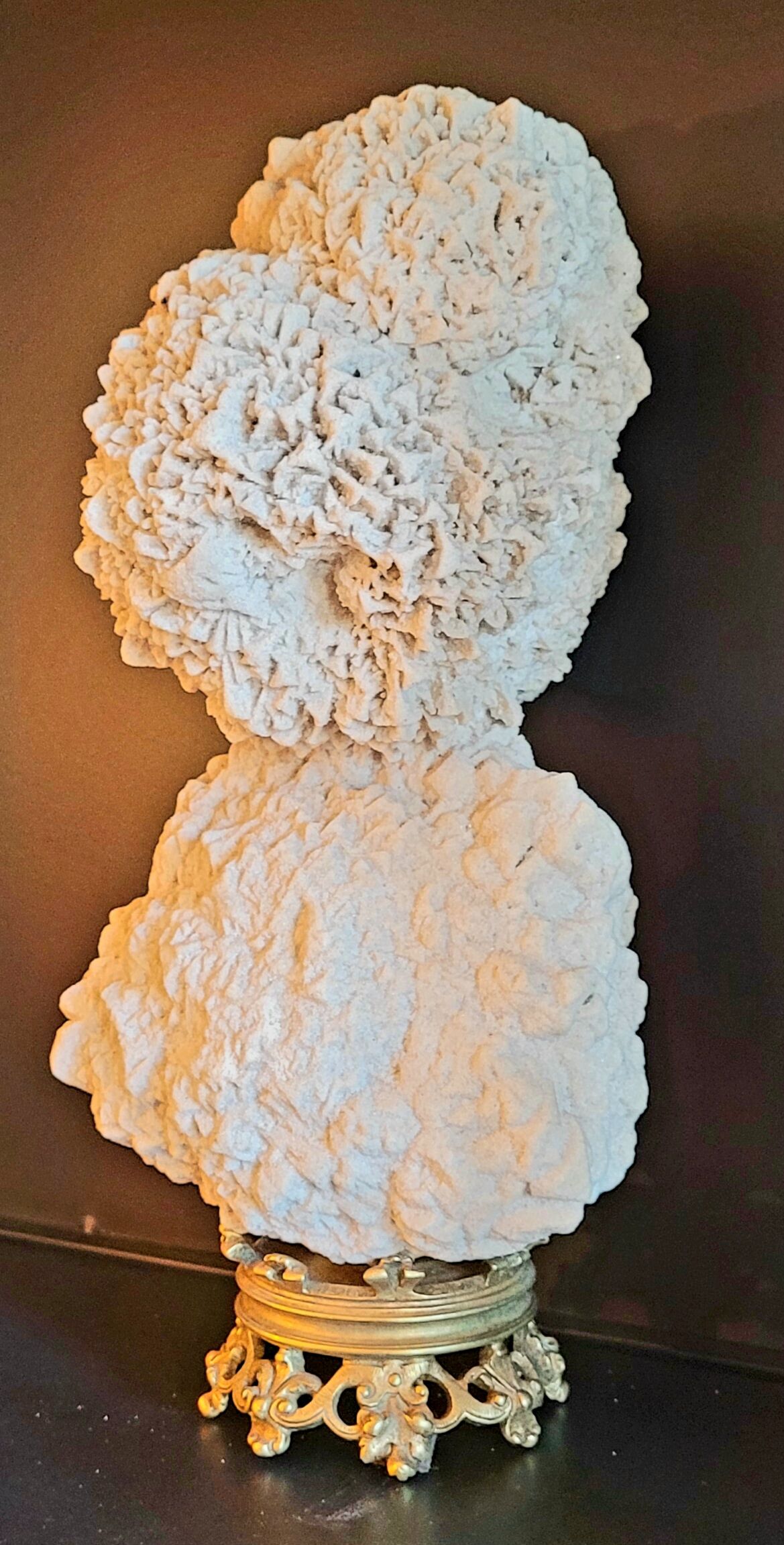 Cabinet of curiosities Naturalia and Minerals Gogotte de Fontainebleau