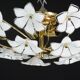 Delicious Murano Ceiling Light White Flowers, 1970