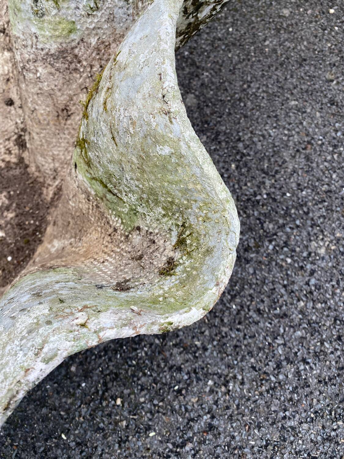 Biomorphic planter by Willy Guhl, 1960