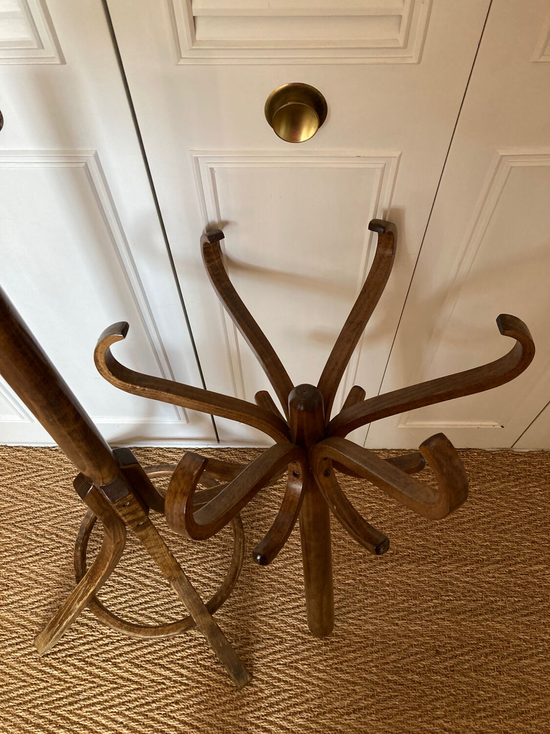 Baumann parrot coat rack