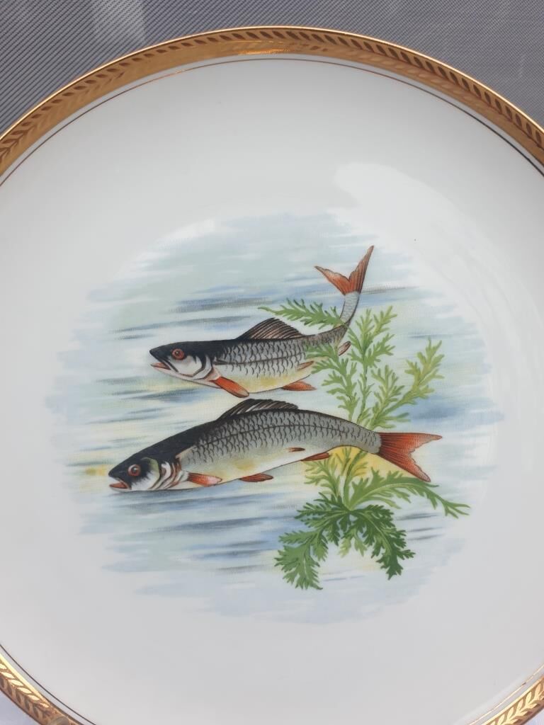 Set 12 plates porcelain fish edge laurel gold Bernardaud