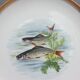 Set 12 plates porcelain fish edge laurel gold Bernardaud