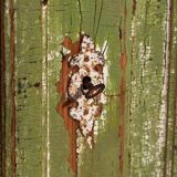 Antique chest of drawers with green patina (c.1920) #59