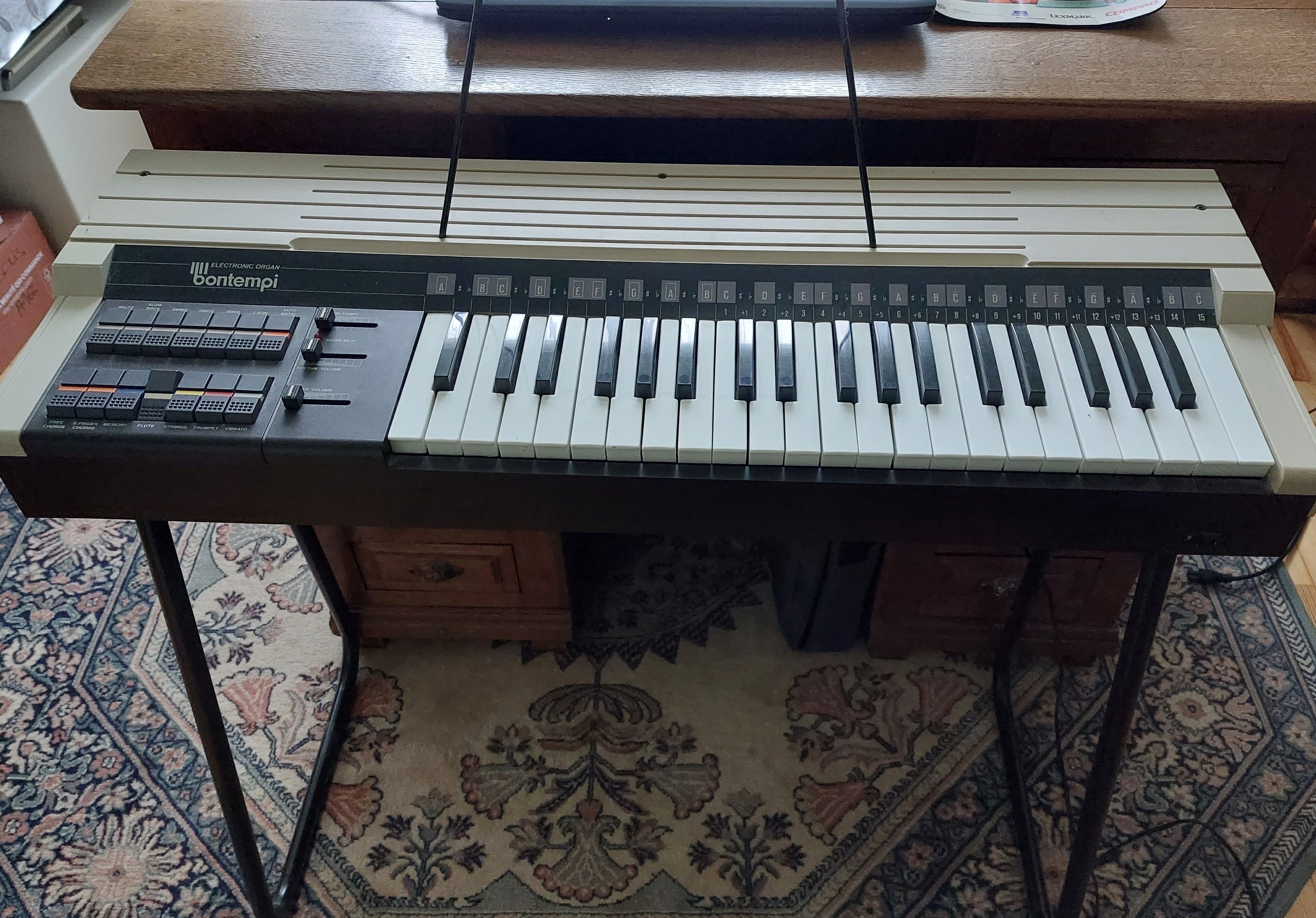 Bontempi organ