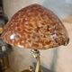 Bronze lamp in Art Nouveau style from 1975 to 1985 with a high-quality glass shade.
