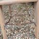 Antique wooden stepladder
