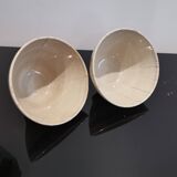 SET OF 2 EARTHENWARE BOWLS TERRE DE FER
