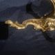 A pair of gilt bronze wall sconces in the chinese style - louis xv style