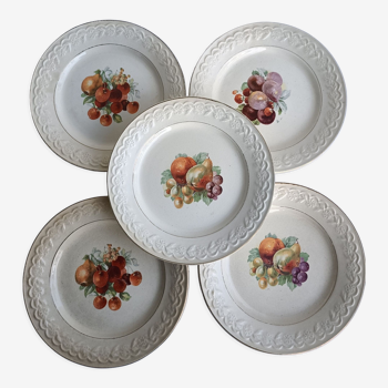 Set of 5 porcelain grape plates France