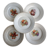 Set of 5 porcelain grape plates France