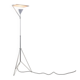 Rare Tenderly Floor Lamp by Shigeru Uchida for Pastoe 1985