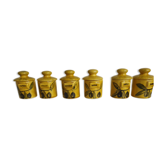 Set of 6 spice jars