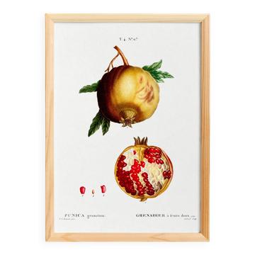 Affiche sur le Grenadier, d’après une gravure de 1802