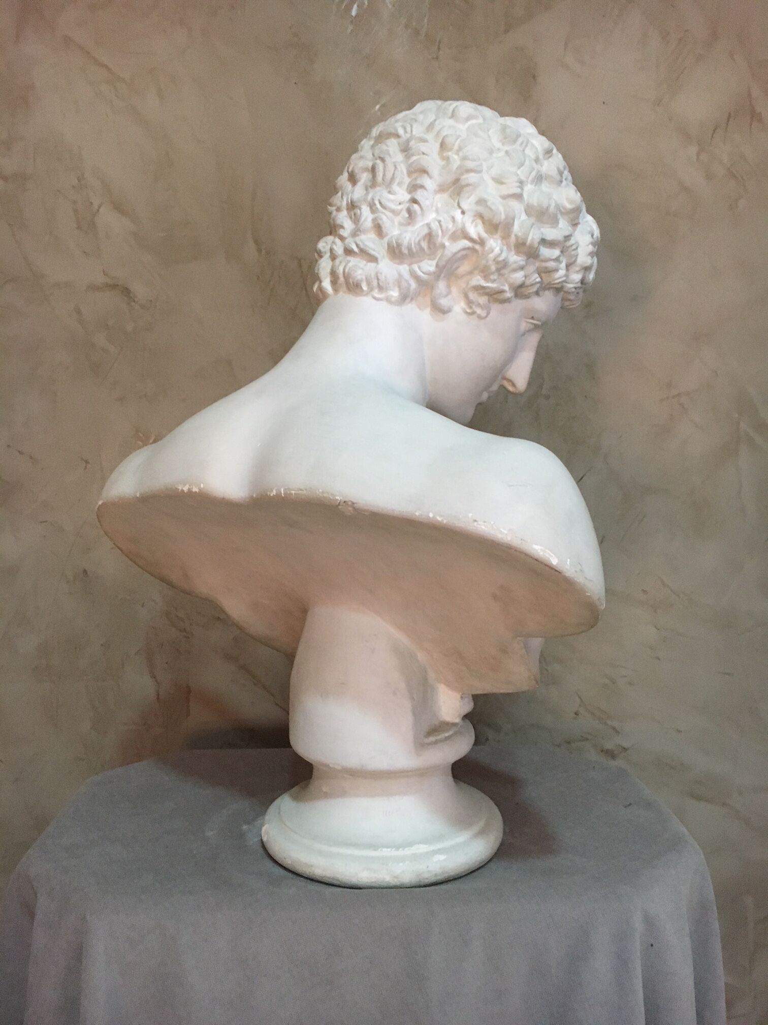 Apollo plaster bust