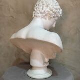 Apollo plaster bust
