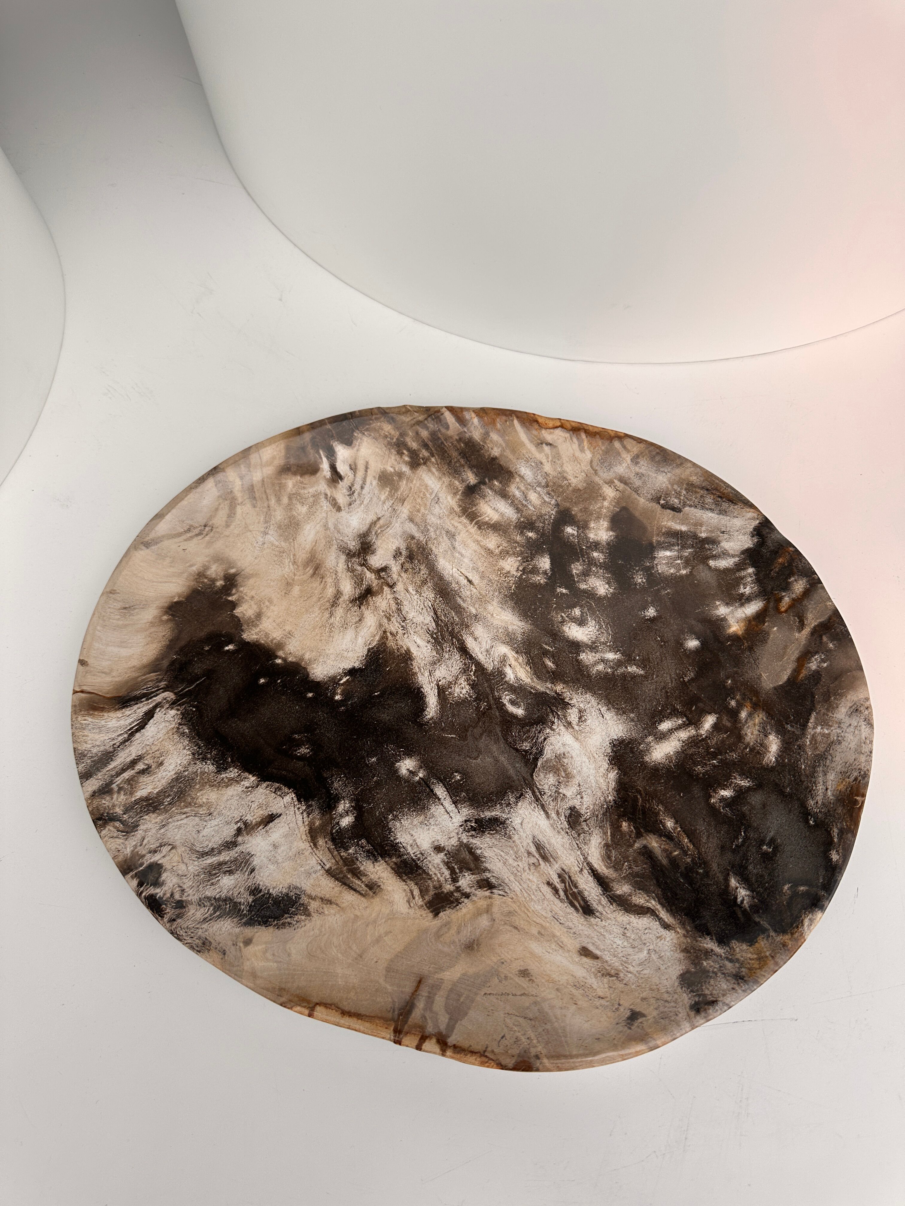 Very large empty pocket or petrified wooden flat