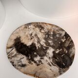 Very large empty pocket or petrified wooden flat