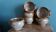 Stoneware soup bowls from Puisaye, signed Jean-Pierre Prud’homme