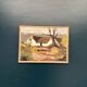 Original Swedish Oil on Canvas – "Farm" by Jörgen Bruun – Signed – Vintage and Framed – 41 × 31 cm (16.1" × 12.2")