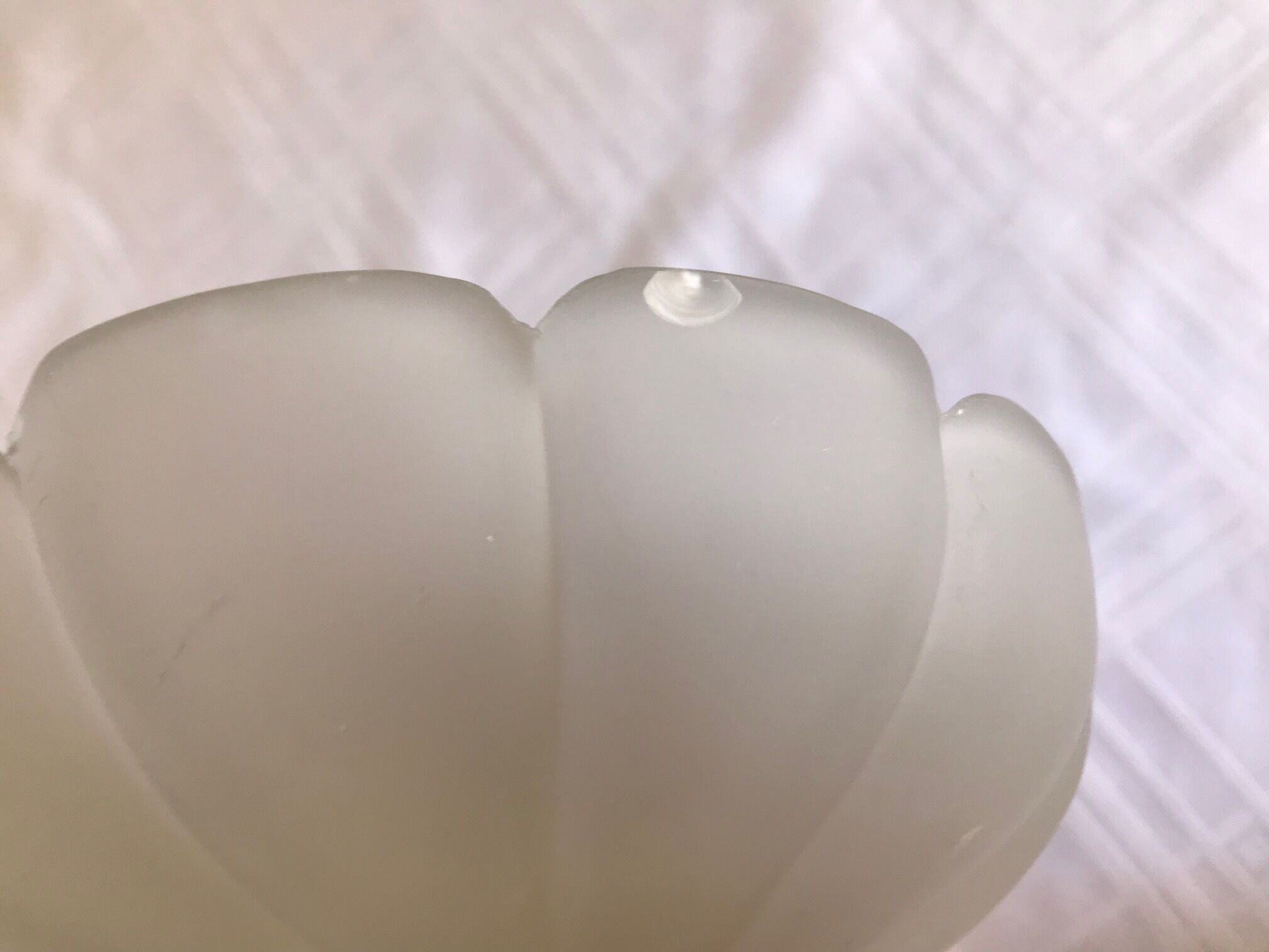 Pair of shell sconces