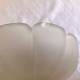 Pair of shell sconces