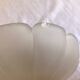 Pair of shell sconces