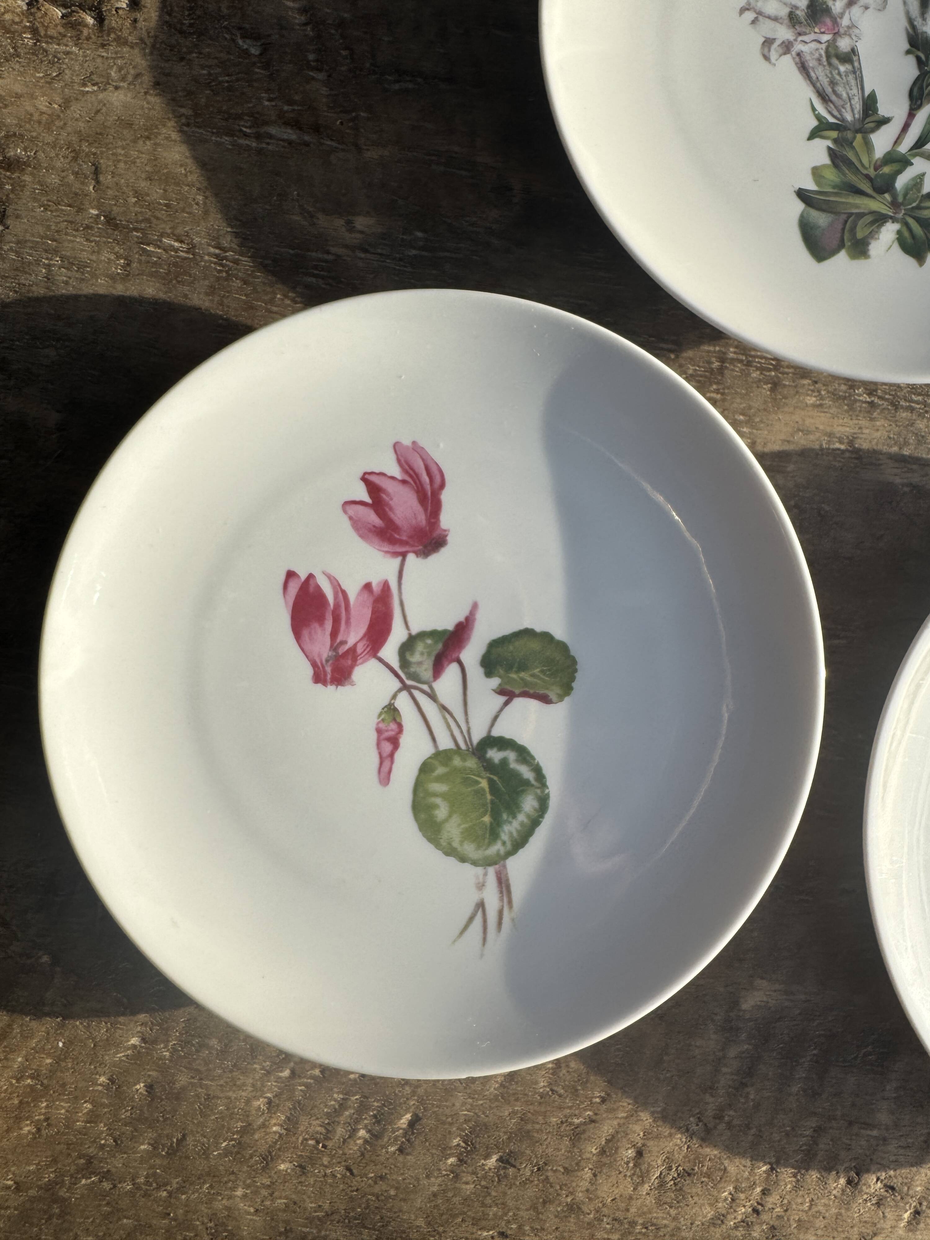 Set of 5 dessert plates with flower patterns Germany Bavaria D19