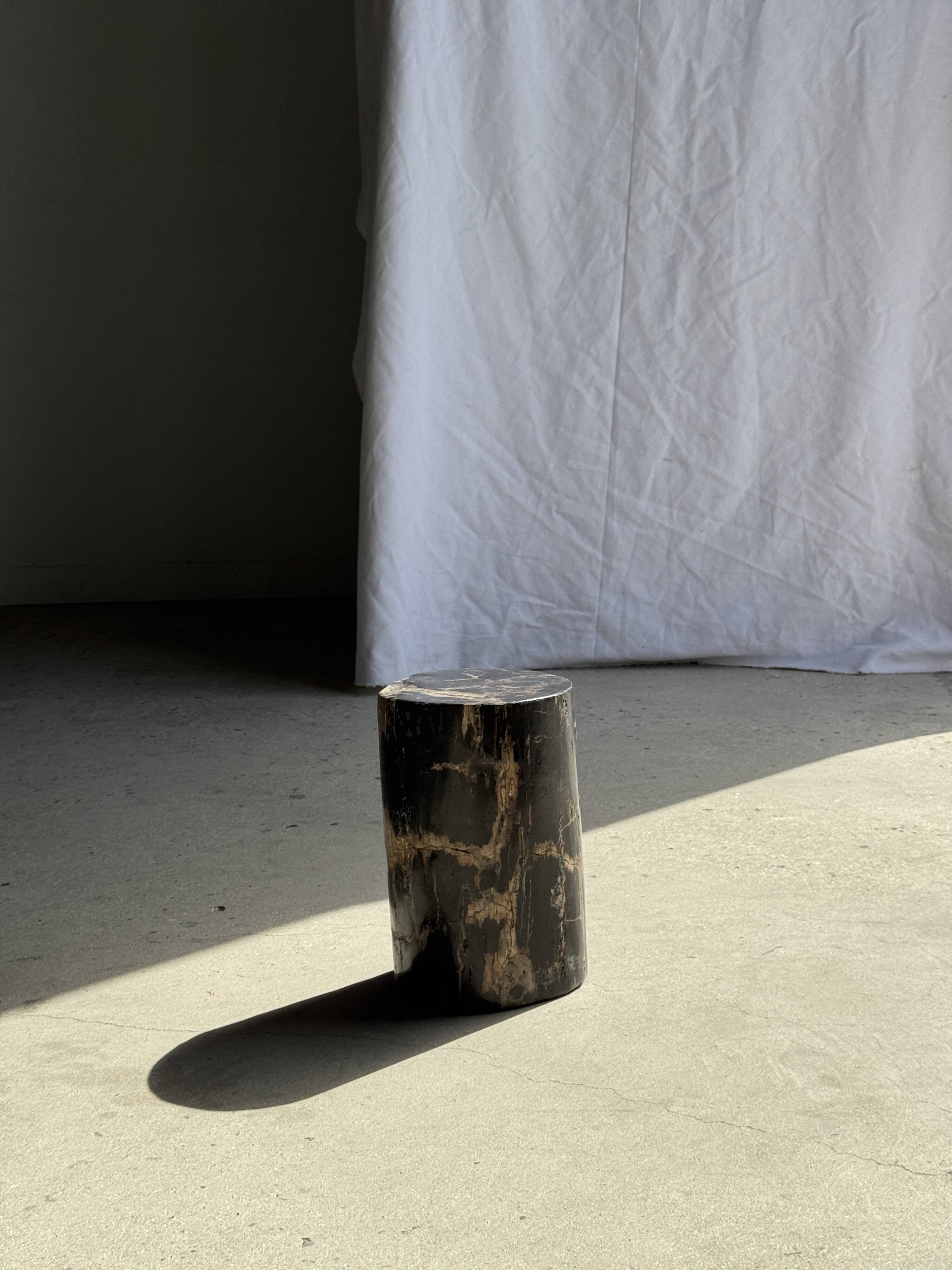 Table d'appoint en bois pétrifié noir