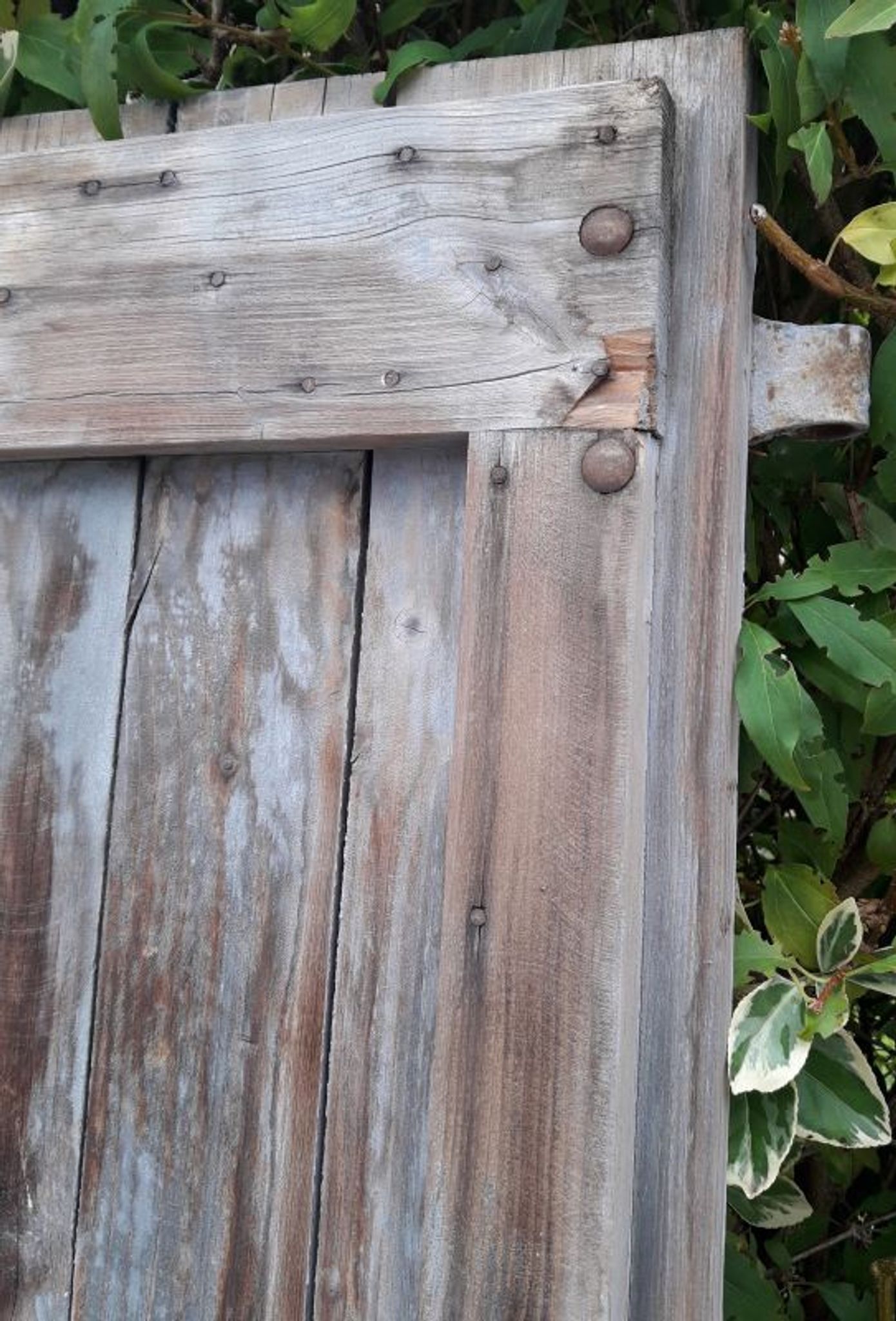 Pair of shutters fir hinges XVIII° old