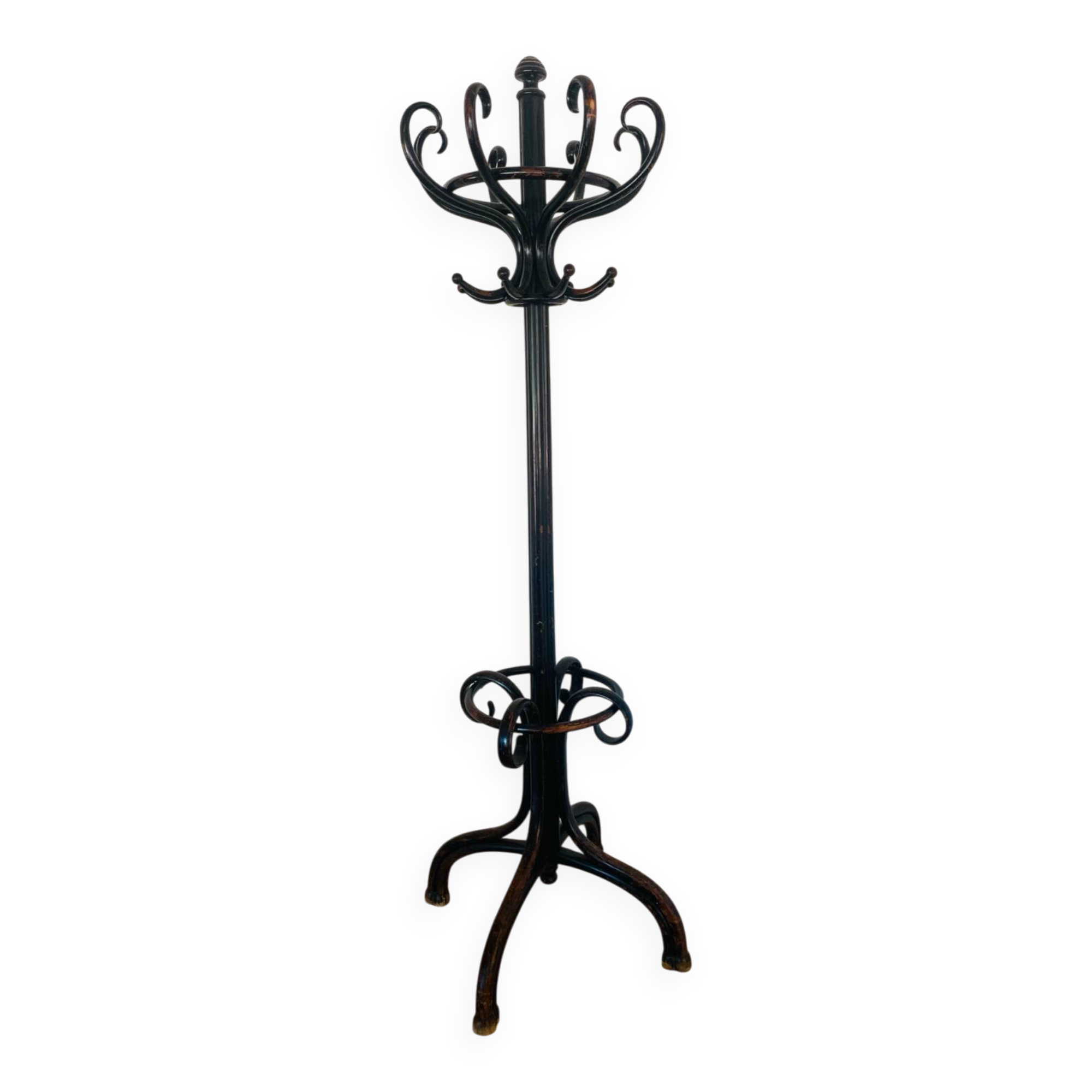 Porte manteau perroquet Thonet