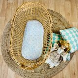 Vintage rattan pram for dolls