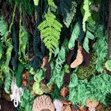 Large tapestry "green wall"