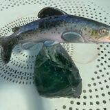 Ceramic trout on glass rock, 1950s, signed