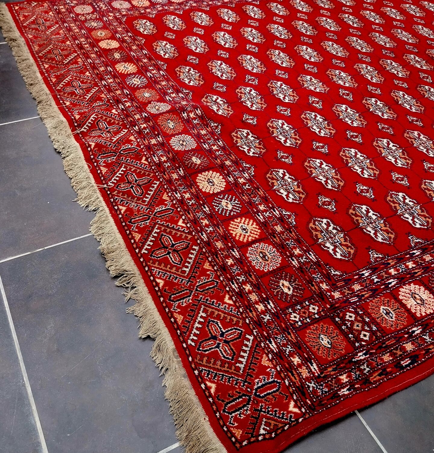 Large carpet Bukhara 310x230