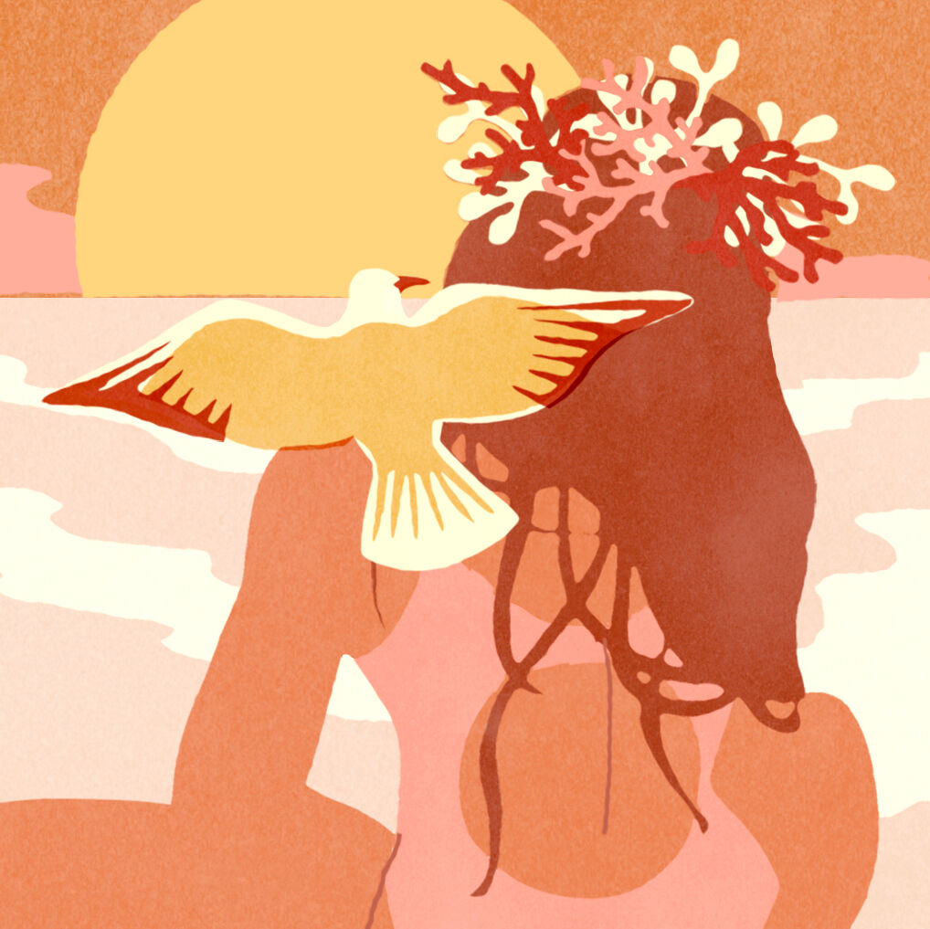 The seagull, illustration