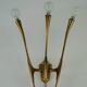 Single Brass Wall Sconce by Oscar Torlasco for Lumi Milano, Italy 1950s