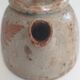 Herbarium sandstone teapot