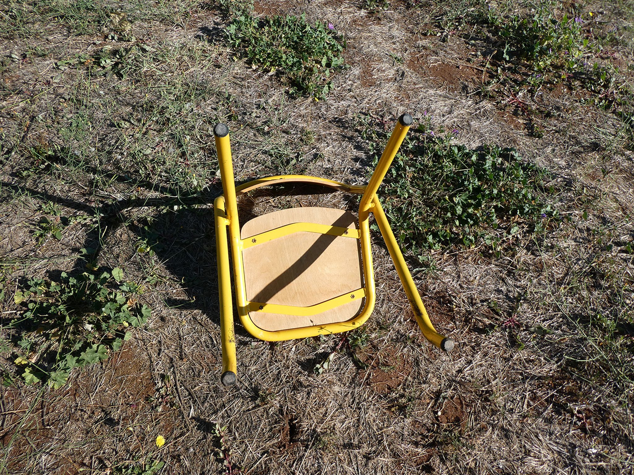 Wooden school chair 80