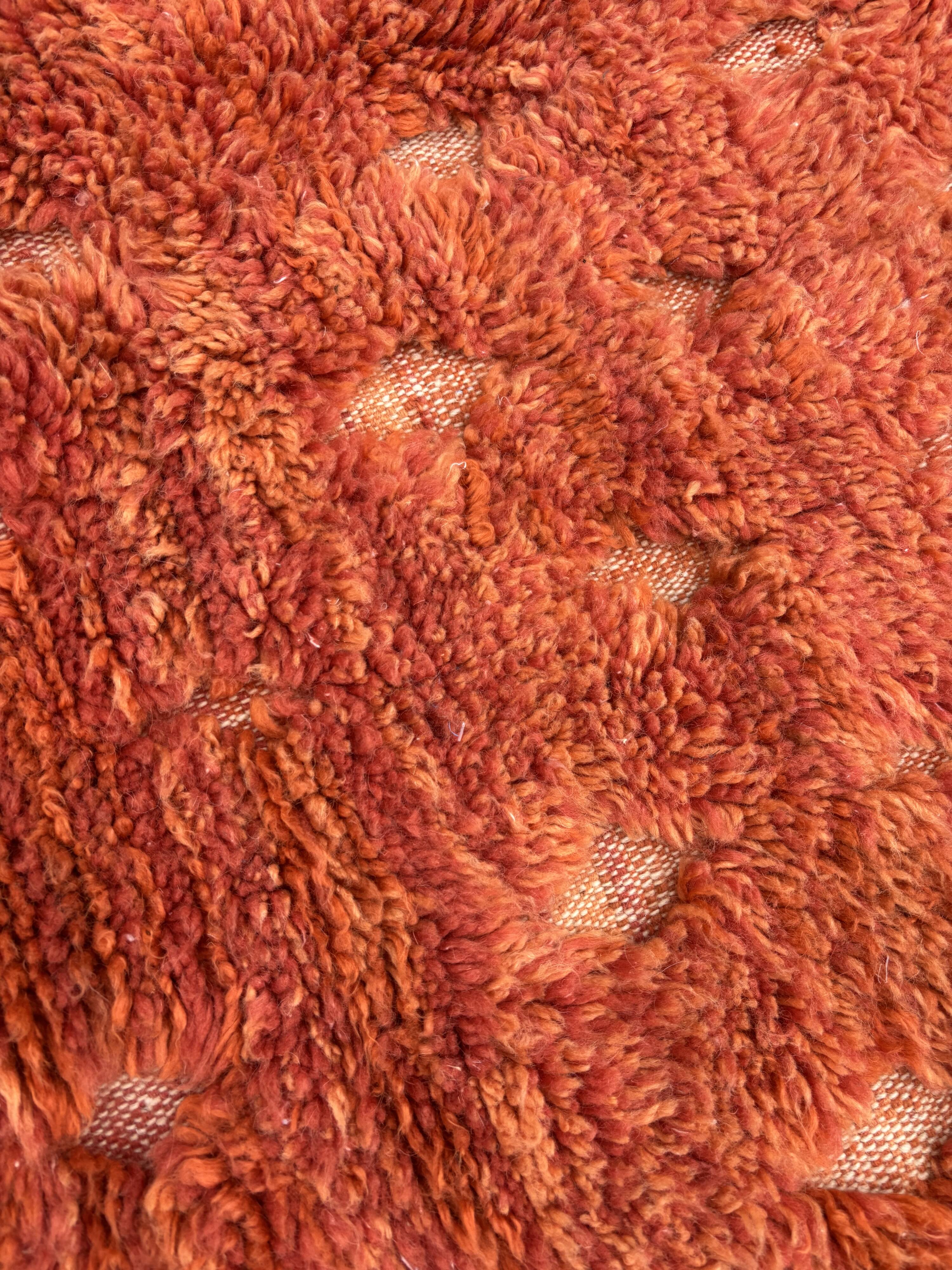 Small Berber Ben M'rirt wool rug