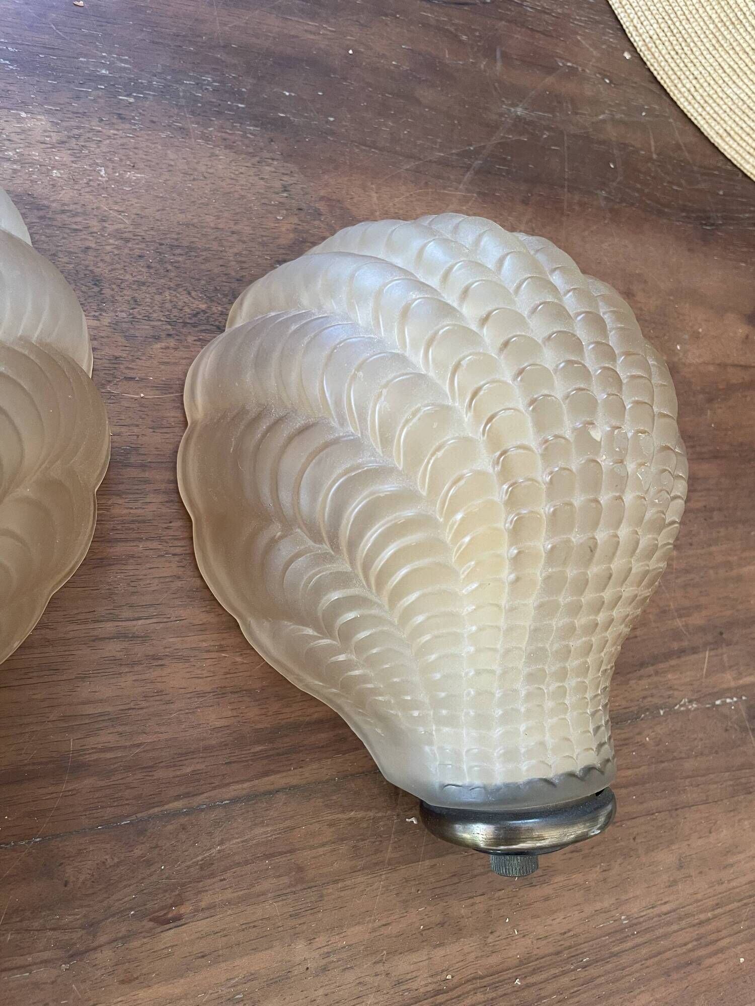 Pair of shell wall lights in frosted glass in Art Deco style.