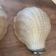 Pair of shell wall lights in frosted glass in Art Deco style.