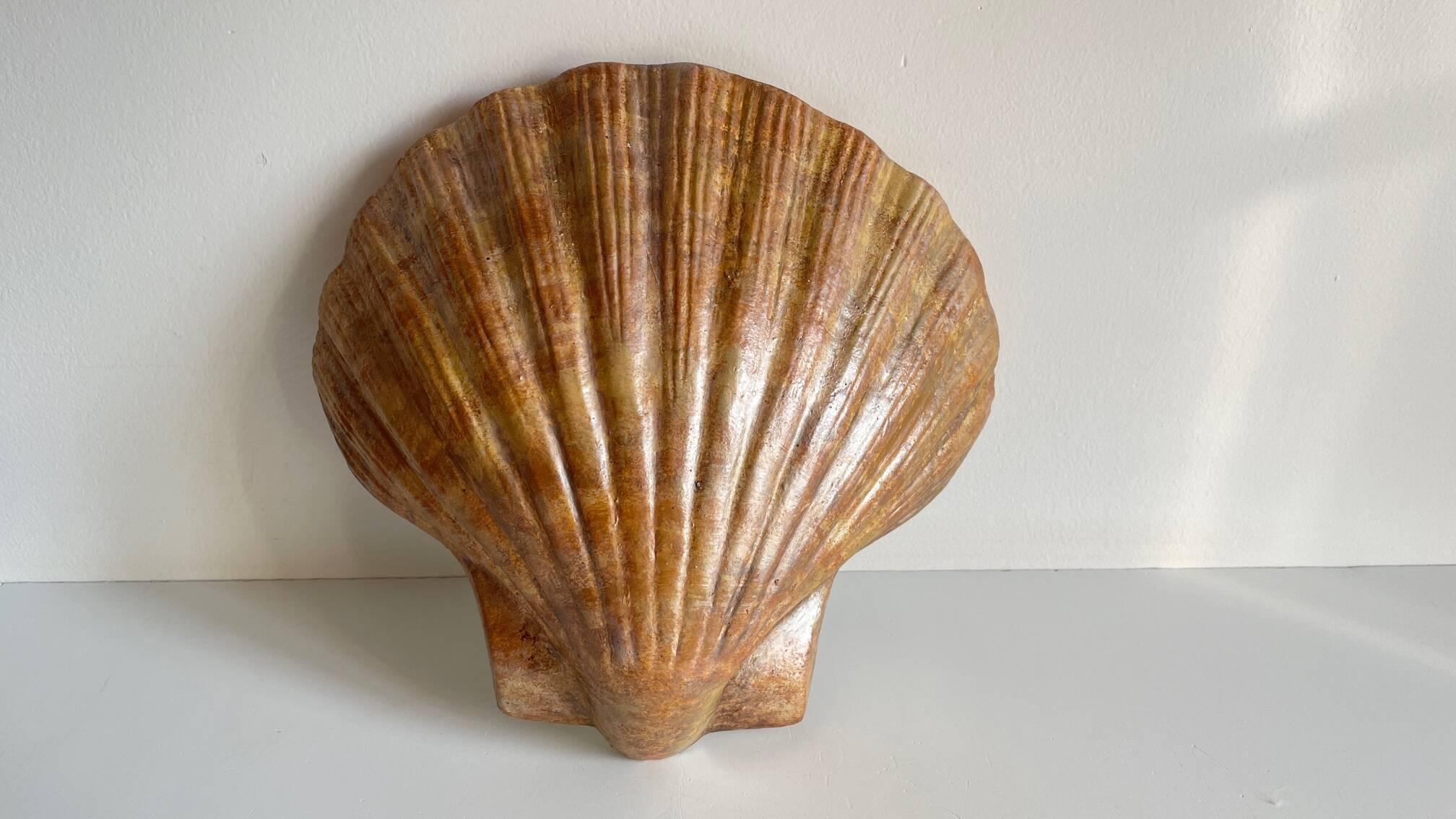 Shell wall enameled by aljezur