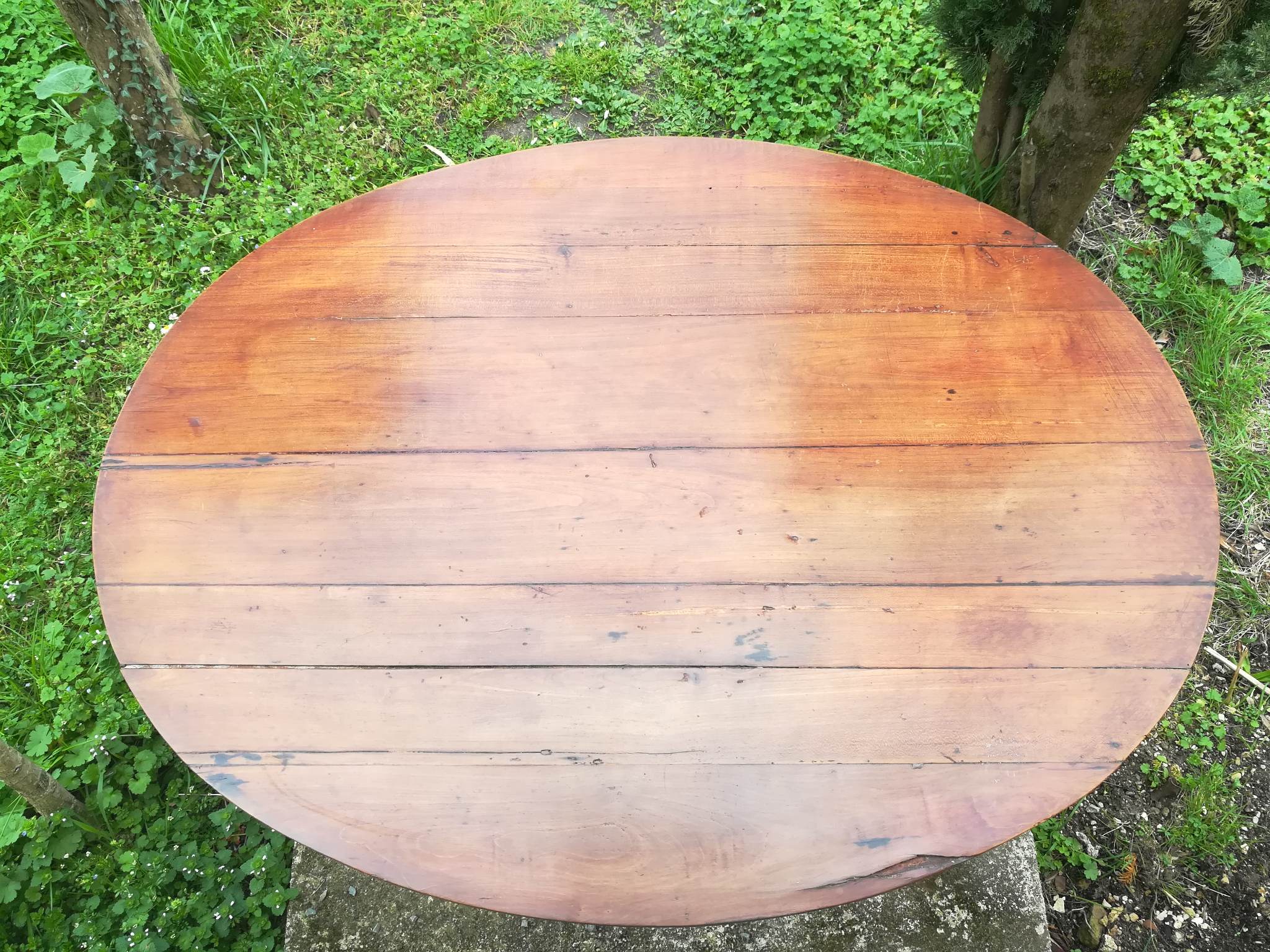 Harvest table Cognac 19th