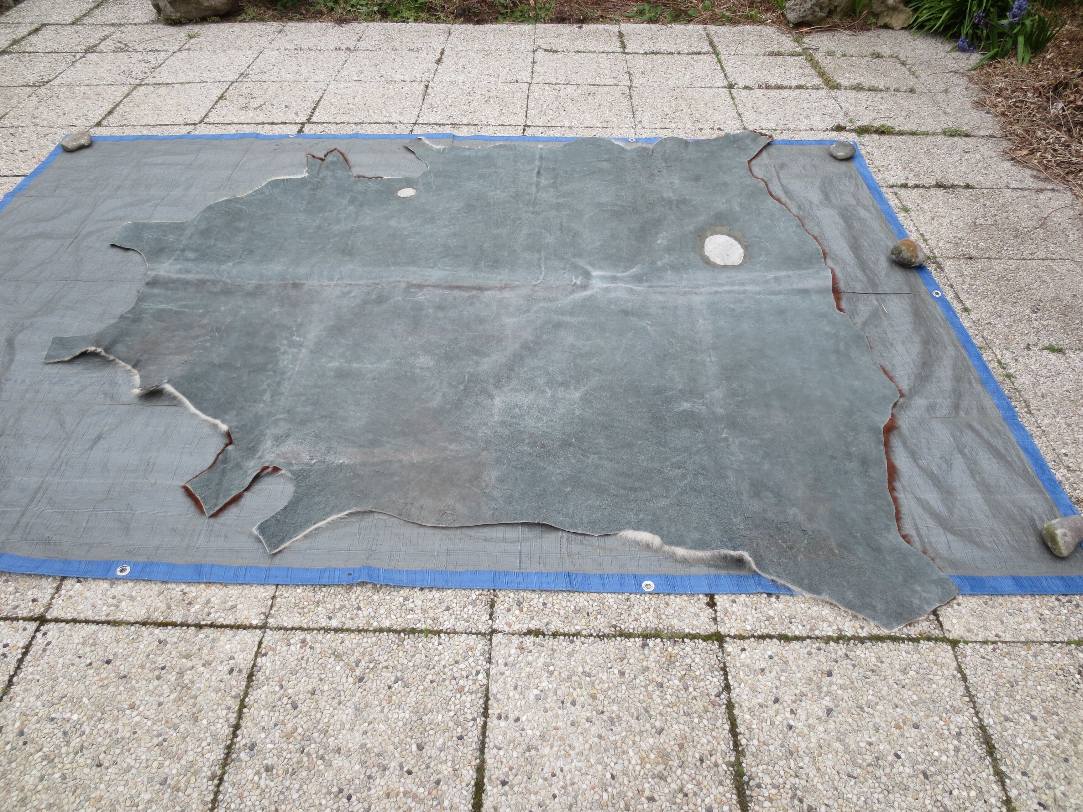 Cowhide color auburn and white 200x200cm