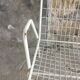 EMU bench model rio vintage - white metal mesh - 1960