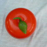 Orange vintage ice cube tray 70