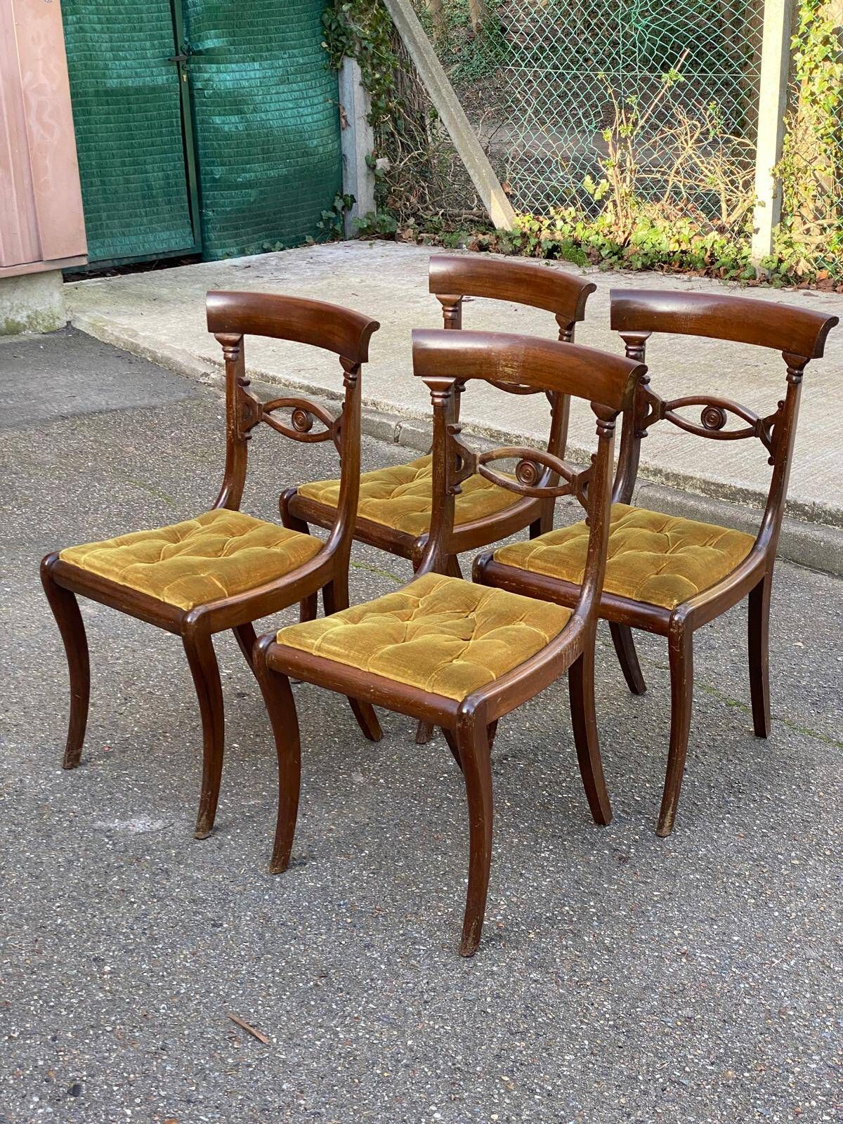 4 Regency chairs in solid wood and mustard yellow velvet fabric from the 19th century.
