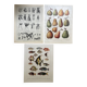 Set of 3 illustrated boards Xx - Reserved