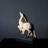 Antelope
